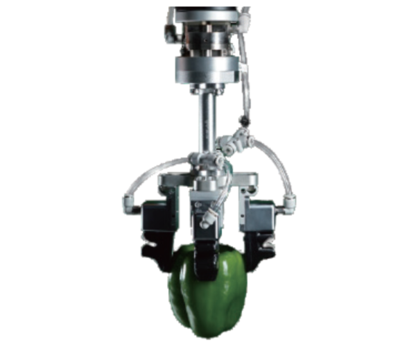 Rochu Food Industry Applications
